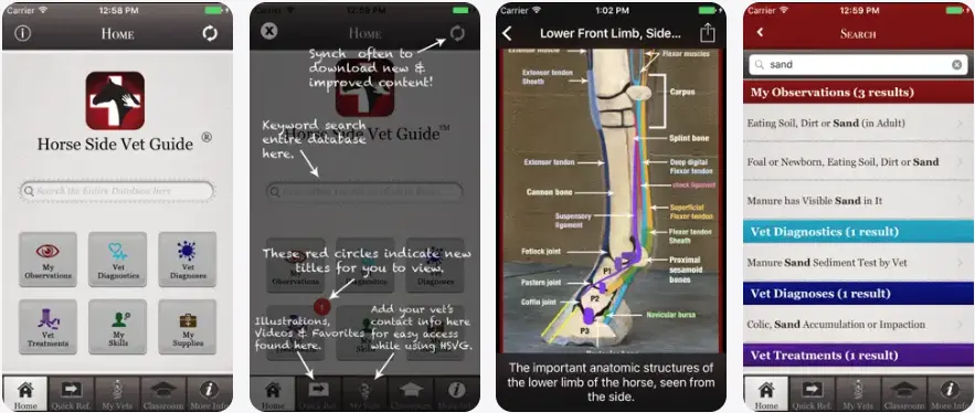 8. Horse Side Vet Guide